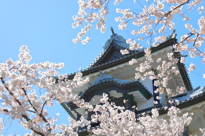 4 Hour Unique Kanazawa Cherry Blossom Sakura Private Experience - Good To Know