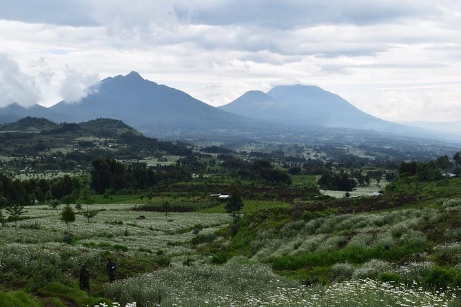 1 Day Bisoke Volcano Hike - Booking Process