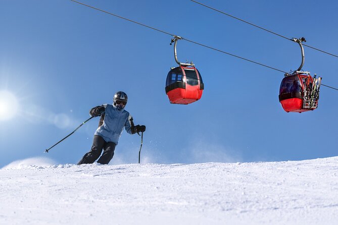 1-Day Private Ski Lesson From Tokyo/Optional Mt. Fuji Sightseeing - Pricing and Cancellation Policy