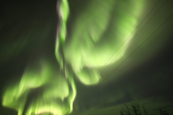 1 Day Shared Tour Arctic Circle and Aurora Viewing in Alaska - Health and Safety Information