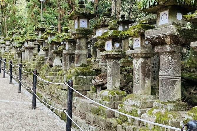 1 Day Walking Tour in Nara Palace Deer and Inkstick - Cancellation and Refund Policy