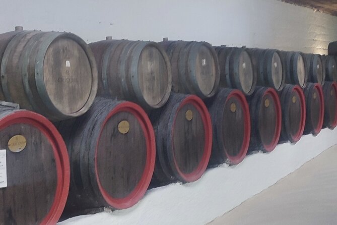 1 Day: Wine Tasting Tour to Milesti Mici and Cricova Cellar From Moldova - Cancellation and Payment