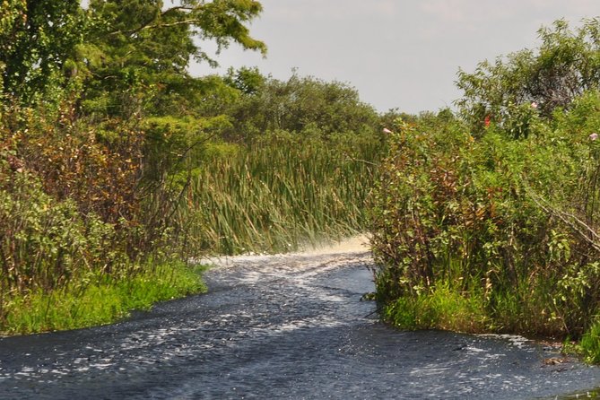 1 Hour Everglades Airboat Tour Central Florida - Meeting Location and Accessibility