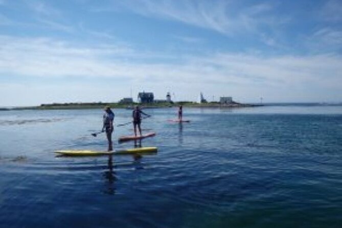 1 Hour Guided SUP/Kayak Tour Review - Booking and Cancellation