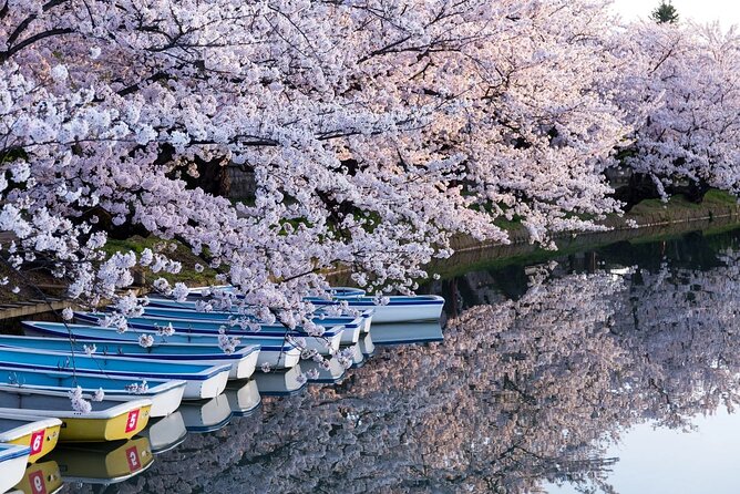1 Hour Private Photoshoot in Aomori - Accessibility and Participation