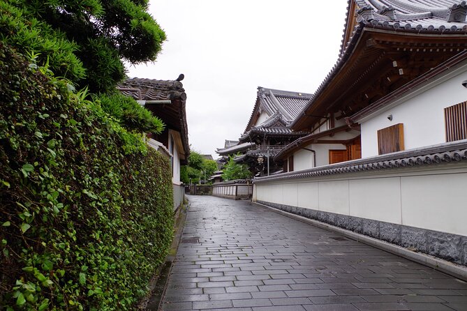 1 Hour Private Photoshoot in Oita - Booking and Payment Information