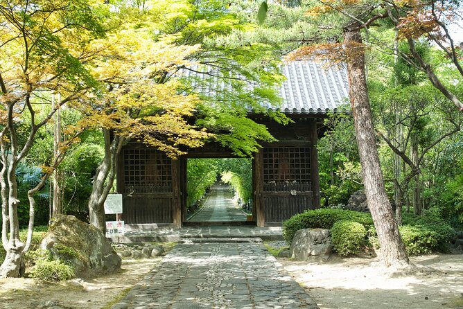 1 Hour Private Photoshoot in Sendai - What to Expect During the Photoshoot