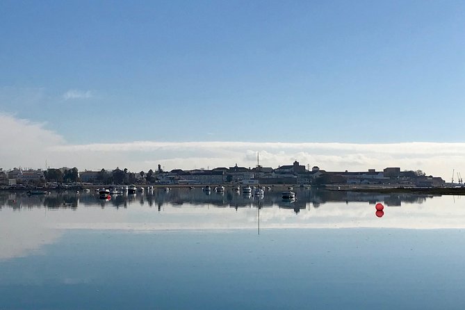 1 Hour Private Speed Boat Tour - Tour Operator and Review Information
