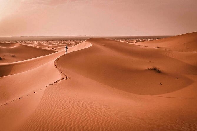 1-Hour Quad Crossing the Dunes of Merzouga in the Sahara - Customer Reviews and Feedback