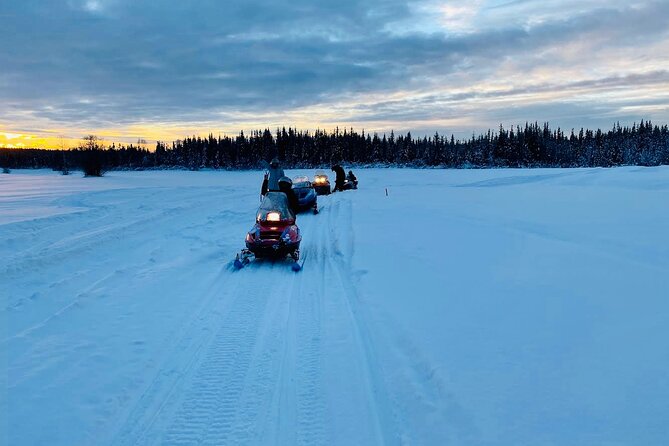 1 Hour Snowmobile Tour in Fairbanks Alaska - Tour Experience