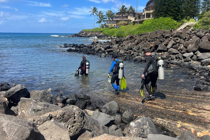 1 Tank Discover Scuba at Koloa Landing With No Experience Needed - Recommendations for a Memorable Dive