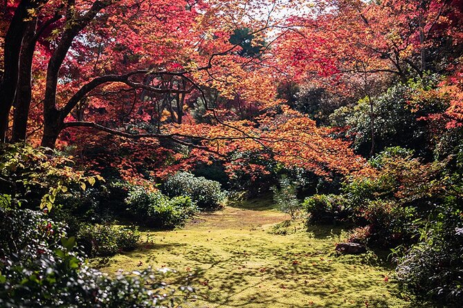 10 Days In-depth Discover Japan Deluxe Tour - Included Activities and Sightseeing