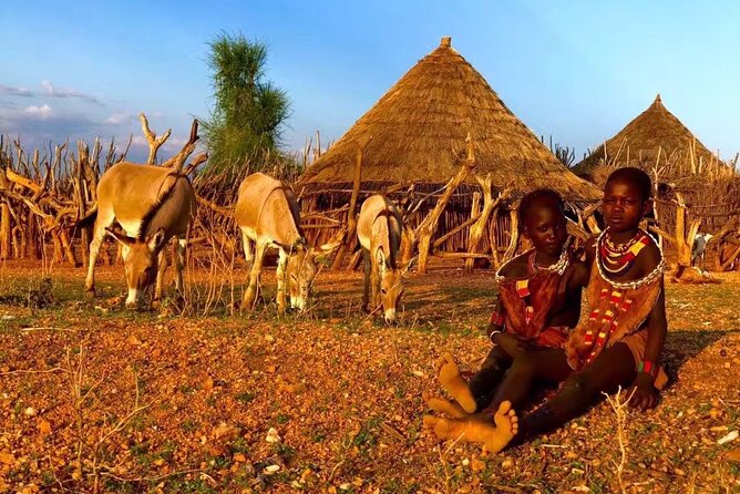 12 Days Ethiopia Tour - Transportation and Accessibility