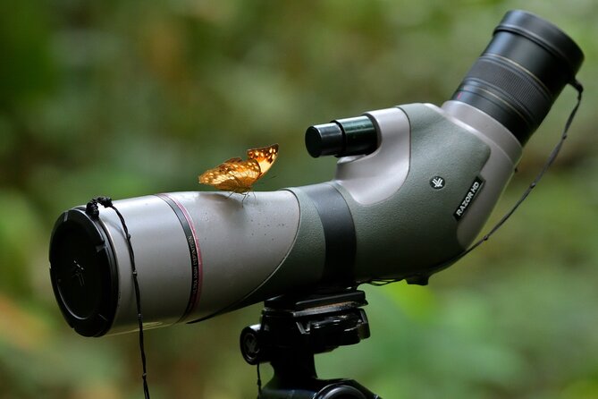 14 Day Ghana Butterfly Tour - Accommodation Details