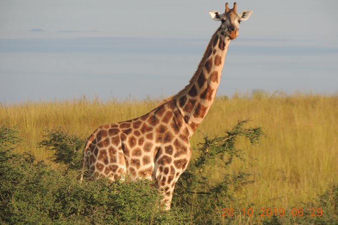 14 Days Uganda Wildlife and Primate Safari With Bigfive - Pricing and Payment Options