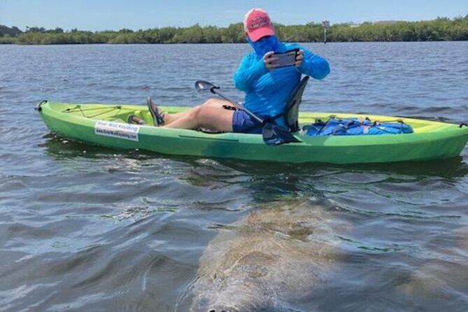 2.5 Hour Kayaking With Manatee and History Tour in Tarpon Springs - Additional Information