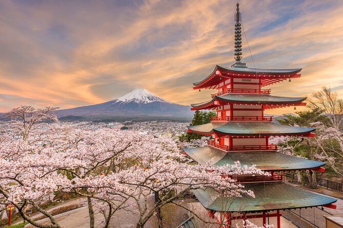 2-Day Tour: Mt Fuji and Tokyo Private Wagon & English Driver - Customer Experience