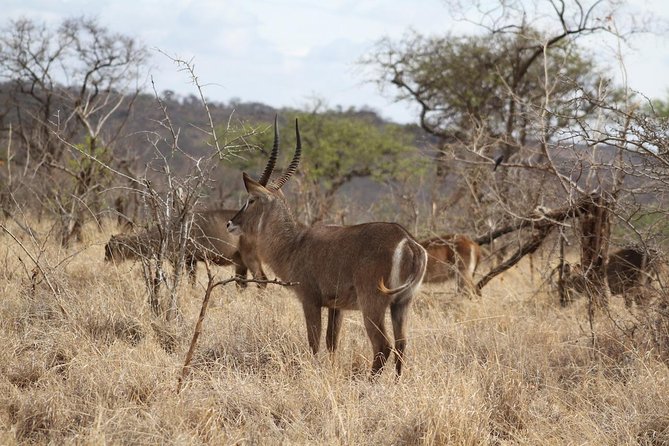 2 Days Lodge Safari - Lake Manyara and Ngorongoro Crater - Meeting and Pickup Details