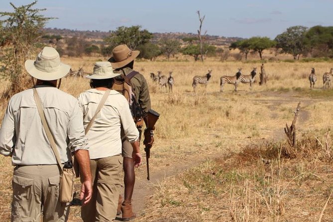 2 Days Lodge Safari. - Itinerary Highlights