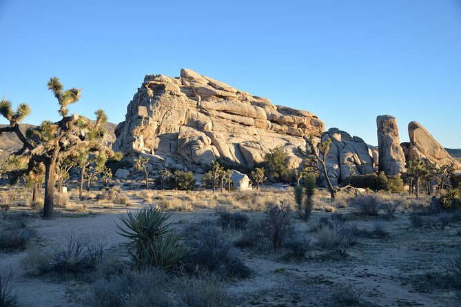 2-Days Private Tour to Joshua Tree National Park From Los Angeles - Health and Accessibility