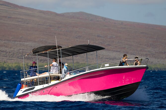 2 Hour Afternoon Lahaina Whale Watch - Inclusions and Pricing Details