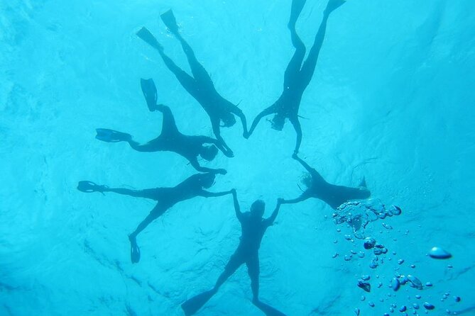 2-Hour Dolphin Watching and Double Reef With Snorkel in Hawaii - Intimate Boat Tour