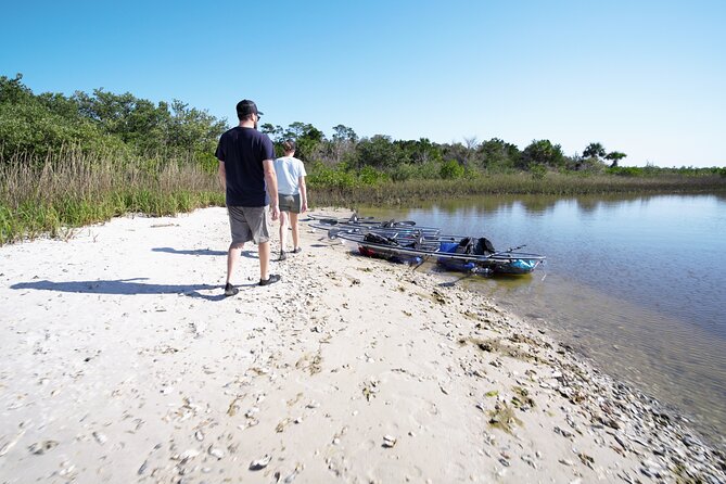 2-Hour Glass Bottom Guided Eco Tour in Flagler County-Small-group - Highlights