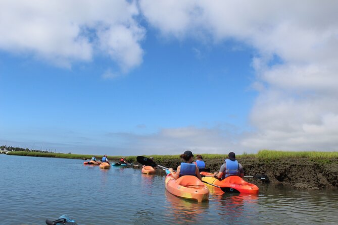 2-Hour Kayak Rental in Cape May per Person - Wildlife Sightings in the Calm Waters