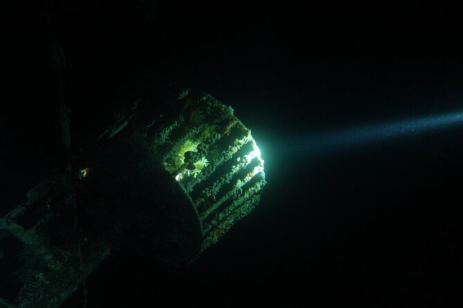 2 Hour Private Night Diving in the Red Sea of Aqaba - Participant Eligibility Criteria