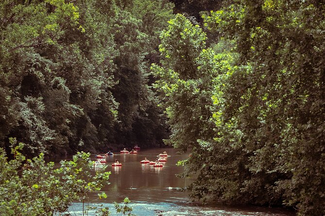 2-Hour Roanoke River Tube Rental With Shuttle - Health and Safety Considerations