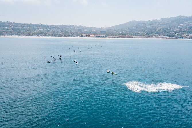 2 Hour Whale Watching Kayak Tour for Two - Additional Information