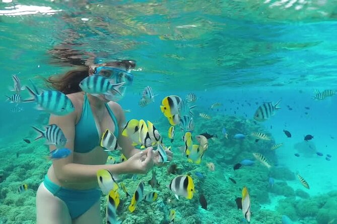 2-Stop Adventure: Stingray City and Snorkeling at Cayman Reefs - Frequently Asked Questions