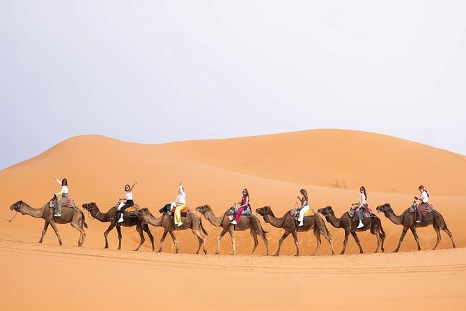 3-Day Best Desert Tour From Fez to Marrakech via Merzouga - Pickup and Meeting Details