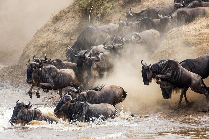 3 Day Lake Manyara, Ngorongoro Crater, Tarangire Safari - Meeting Points and Pickup Details
