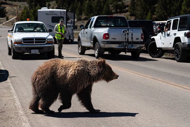 3 Day Wildlife Photography Tour in Yellowstone National Park - Pickup and Transportation Details