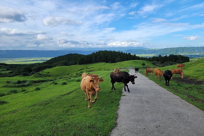 3 Days in Aso to Experience the Nature and Peoples Lives of the Active Volcano - Experiencing the Vibrant Culture of Kumamoto