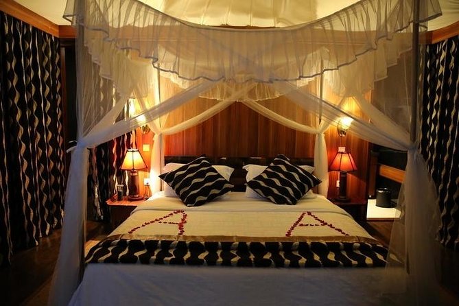 3 Days Masai Mara Private Safari in AA Lodge - Activities and Experiences
