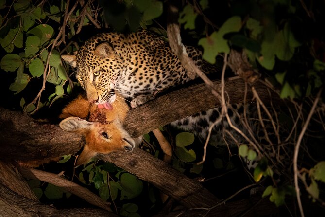 3 Days Serengeti- Ngorongoro Crater Budget Tour - Traveler Information