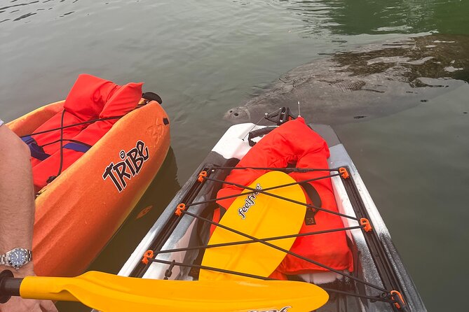 3 Hour Guided Tandem Kayak Adventure Review - Meeting and Pickup Details