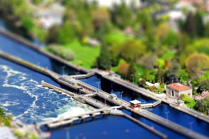 3 Hour Private Tour in Seattle Seaside Serenity - Menu Delights