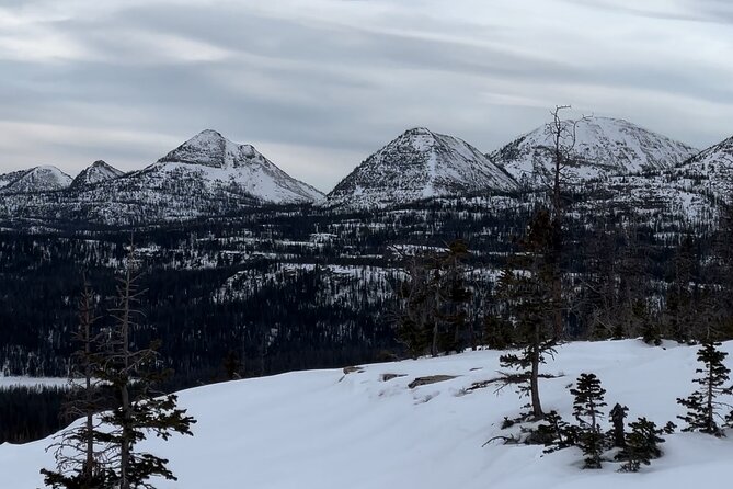 3 Hours Park City Snowmobile Adventure - Tips for an Enjoyable Adventure