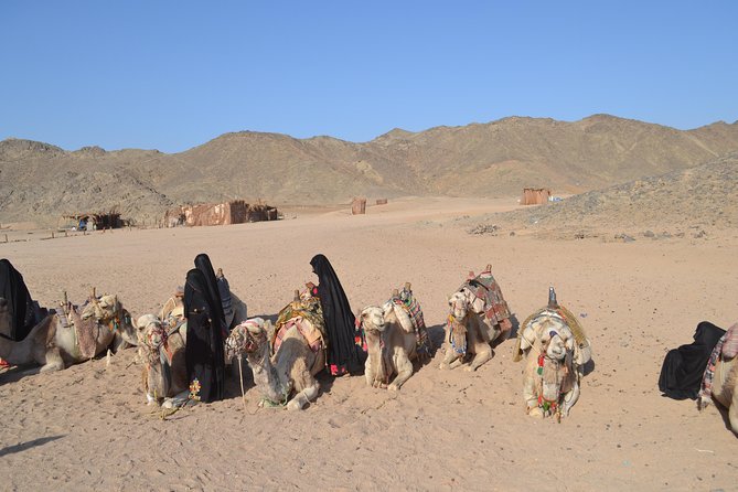 3 Hours Safari Afternoon By ATV Quad & Camel Ride With Transfer - Marsa Alam - Group Size and Experience