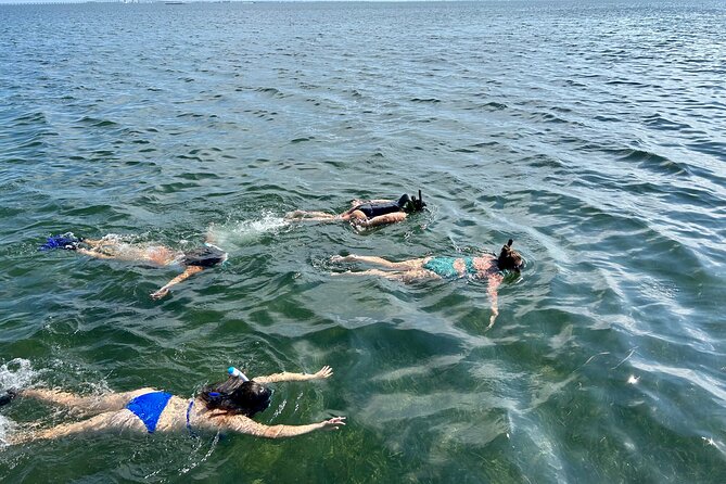 3 Hours Snorkeling Excursion in South Padre Island - Summary of Guest Reviews