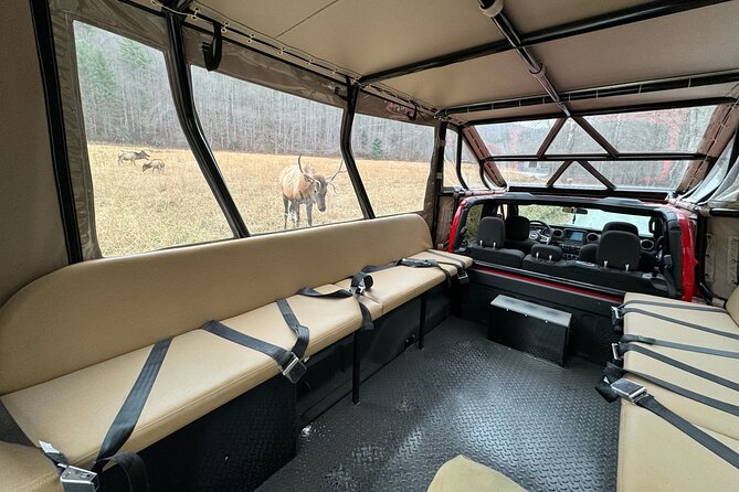 3 HR Smoky Mountain, Cherokee, Blue Ridge Parkway, Jeep Adventure - Traveler Reviews and Ratings