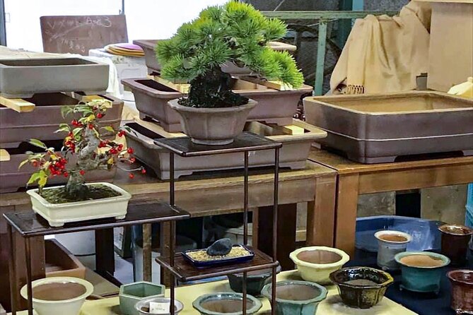 3Days-Bonsai & Sencha Tea Experience: Pastime of the Literati - Accommodation and Meals Included