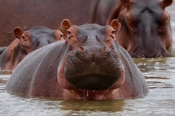 4-Day Northern Tanzania Camping Tour Safari - Accommodation Options