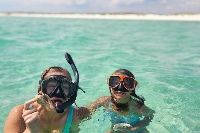 4 Hour Eco Dolphin Tour in Panama Review - Booking Information
