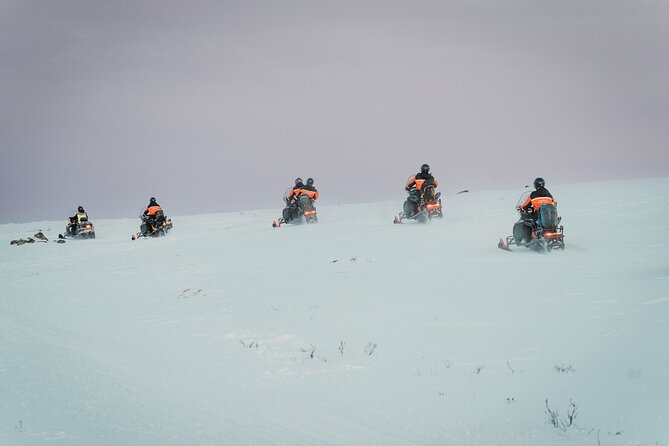 4 Hour Guided Snowmobile Evening Trip in Finnmarksvidda - Participant Eligibility and Requirements