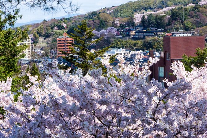4 Hour Unique Kanazawa Cherry Blossom Sakura Private Experience - Highlights of the Experience