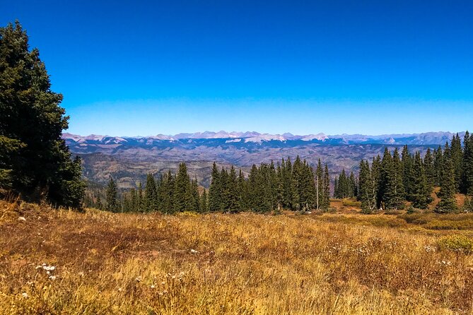 4 Hours Durango Colorado - Jeep Tour - Scenic Wildlife Spotting and Photography Opportunities